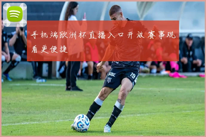 手机端欧洲杯直播入口开放 赛事观看更便捷