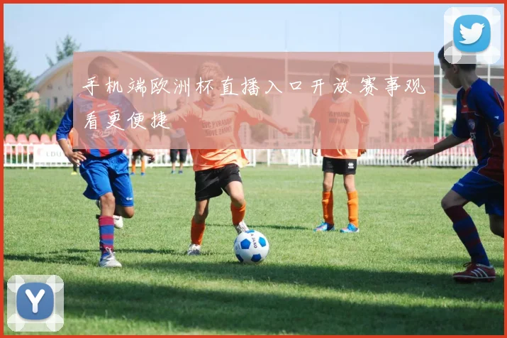 手机端欧洲杯直播入口开放 赛事观看更便捷