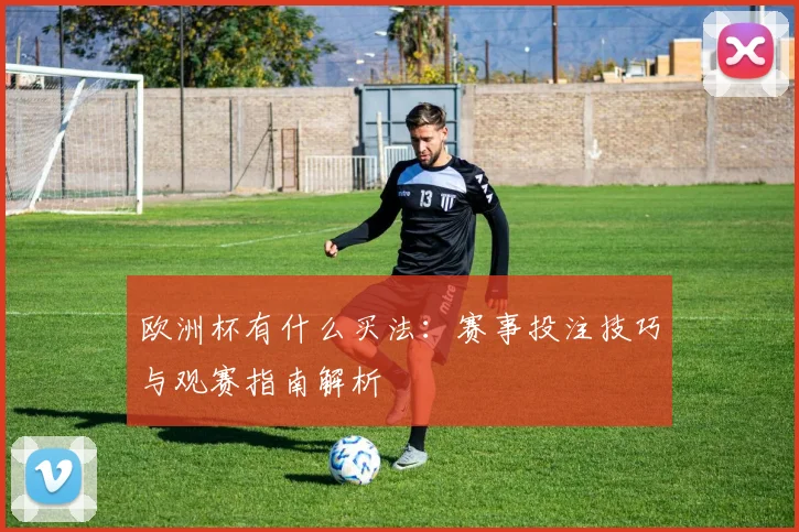 欧洲杯有什么买法:赛事投注技巧与观赛指南解析