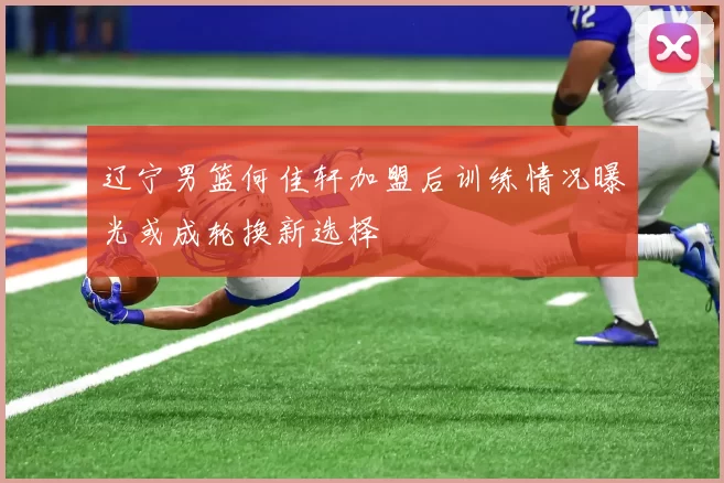 辽宁男篮何佳轩加盟后训练情况曝光或成轮换新选择