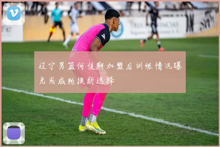 辽宁男篮何佳轩加盟后训练情况曝光或成轮换新选择